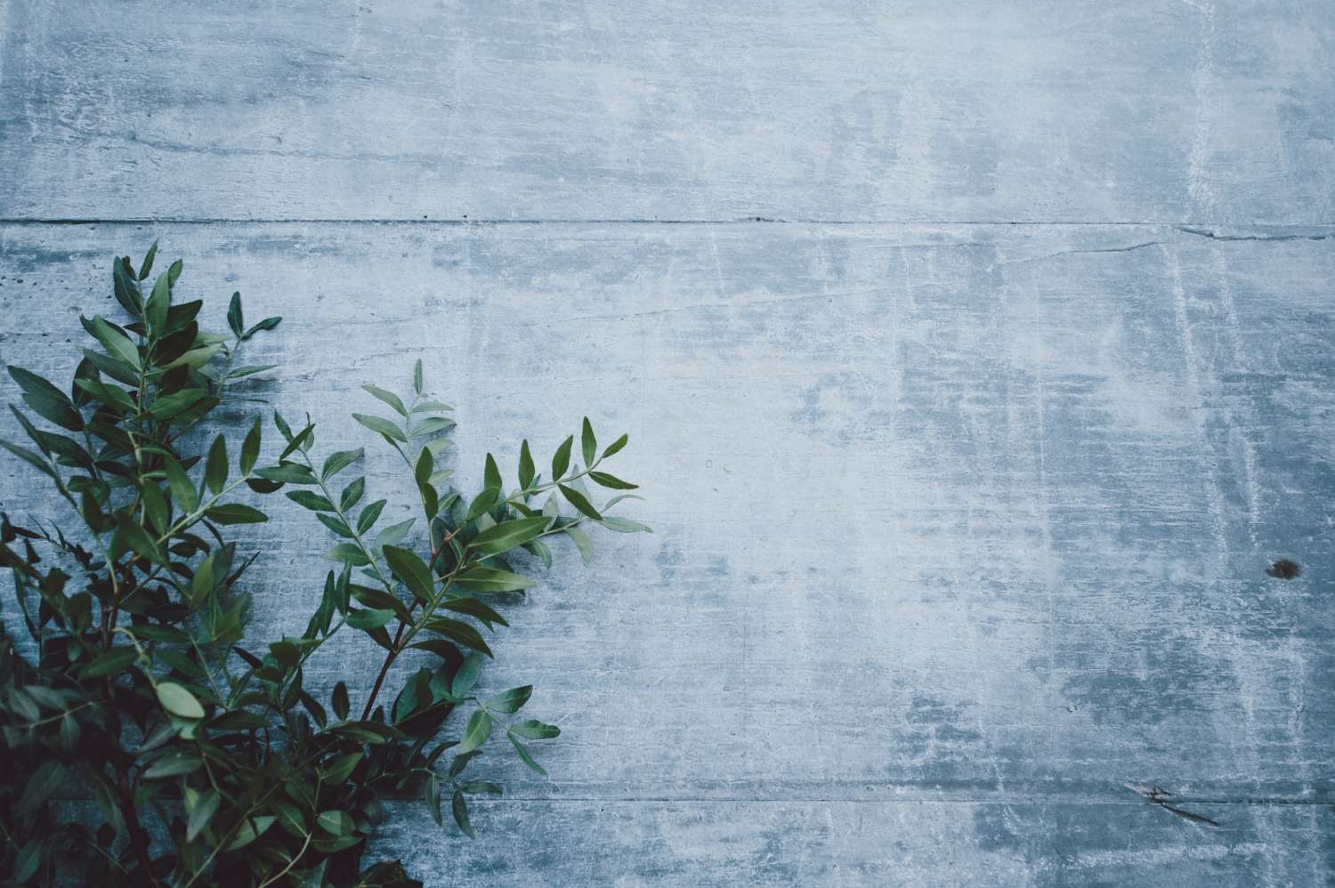 annie spratt 0pWdKDGal7I unsplash - Kaptiya